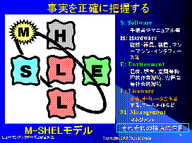 M-SHELモデル