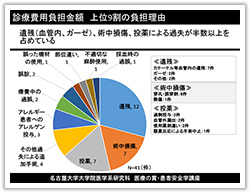 グラフ（３）診療負担金額：上位９割の負担理由