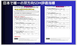 日本で唯一の双方向SDM評価指標