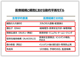 医療組織と細胞における動的平衡モデル