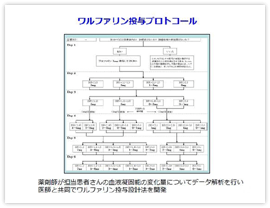 図　ワルファリン投与プロトコール