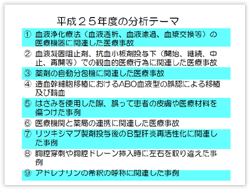 平成25年度の分析テーマ