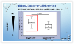 図２．看護師の白血球中DNA損傷度の分布