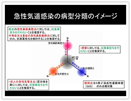 急性気道感染の病型分類のイメージ