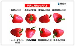 事実は異なって見える