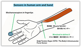 人の腕と手のセンサー