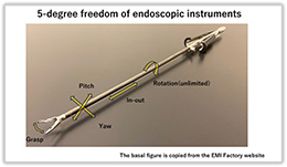 内視鏡器具の軸構成