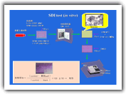 抗がん剤感受性の方法（SDI　test）